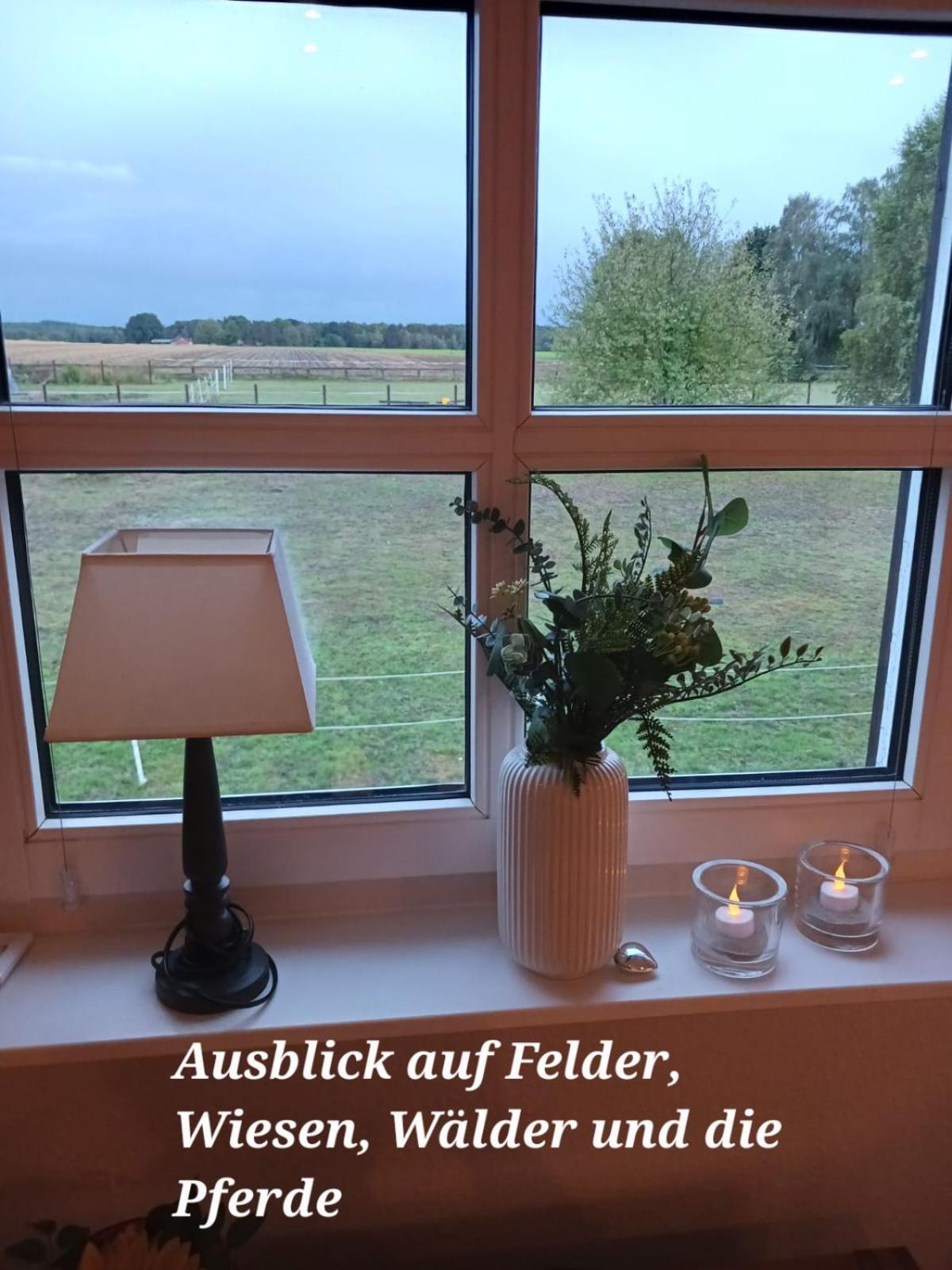 Landidylle Mit Garten, Whirlpool Und Klima * Reken